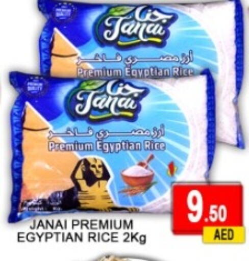 available at جرين جيفت متجر أقسام in الإمارات العربية المتحدة , الامارات - دبي