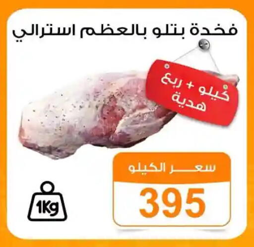 available at جملة ماركت in Egypt - القاهرة
