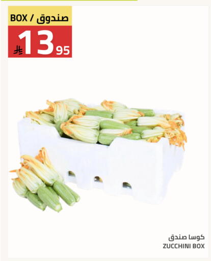 Zucchini available at Astra Markets in KSA, Saudi Arabia, Saudi - Tabuk