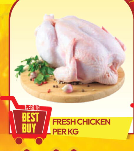 available at دريم لاند in الإمارات العربية المتحدة , الامارات - دبي