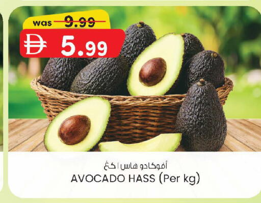 Avocado available at K M Trading  in UAE - Sharjah / Ajman