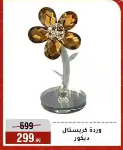 available at المرشدي in Egypt - القاهرة