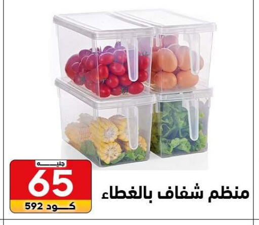 available at Center Elzelzal in Egypt - Cairo