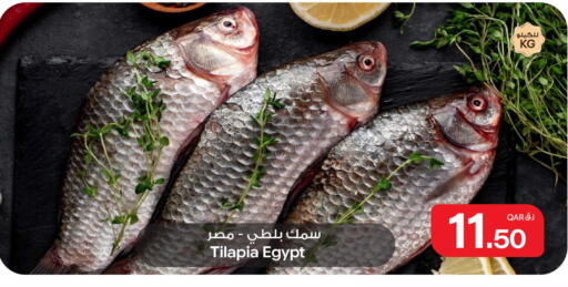 available at بن داود in قطر - الدوحة