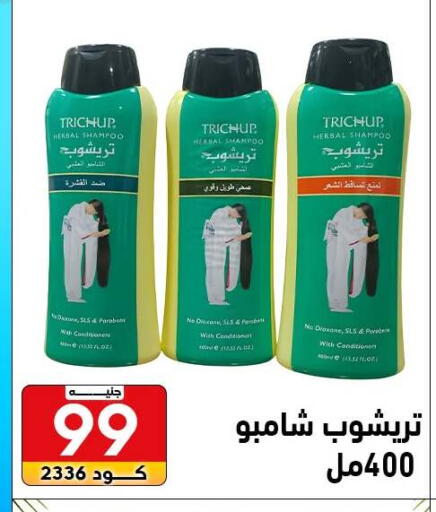 available at Center Elzelzal in Egypt - Cairo