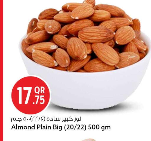 available at سفاري هايبر ماركت in قطر - الشحانية