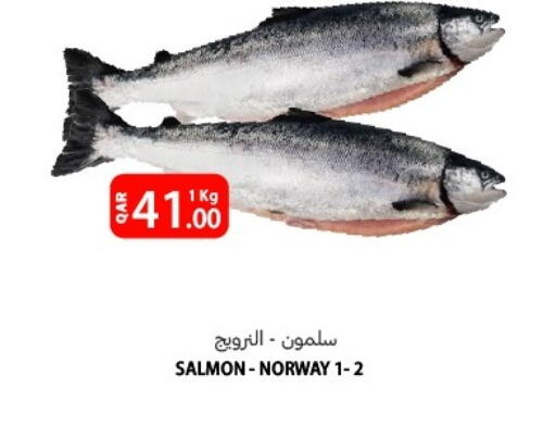 available at Al Baladi Al Yawm in Qatar - Al Shamal