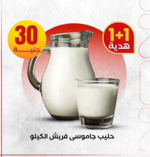 available at المحلاوي ستورز in Egypt - القاهرة