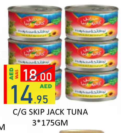 available at رويال جلف هايبرماركت in الإمارات العربية المتحدة , الامارات - أبو ظبي