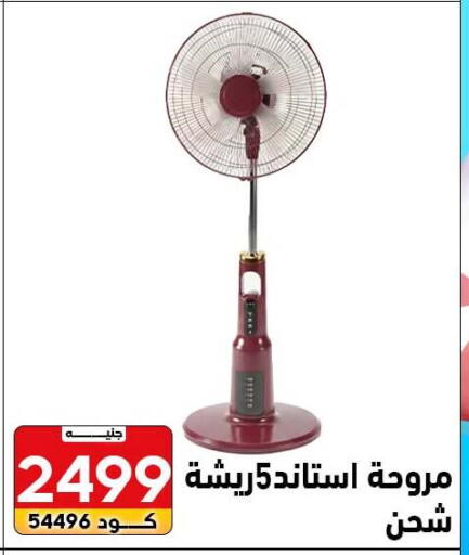 available at Center Elzelzal in Egypt - Cairo