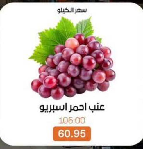 available at بيت الجملة in Egypt - القاهرة