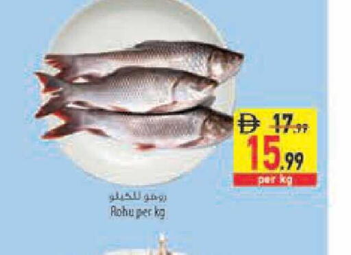 available at السفير ماركت in الإمارات العربية المتحدة , الامارات - أبو ظبي