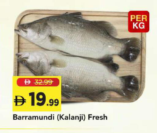available at Mark & Save in UAE - Sharjah / Ajman