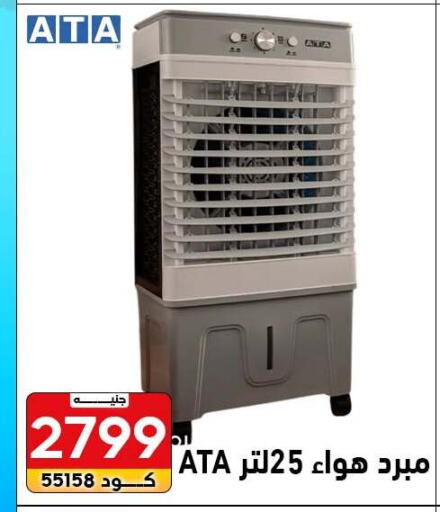 available at Center Elzelzal in Egypt - Cairo