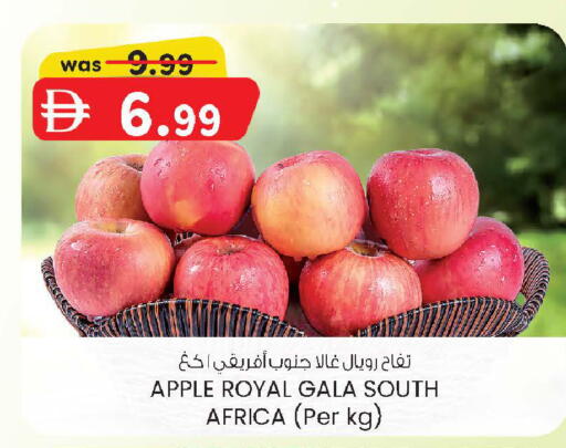 Apple from South Africa available at K M Trading  in UAE - Sharjah / Ajman