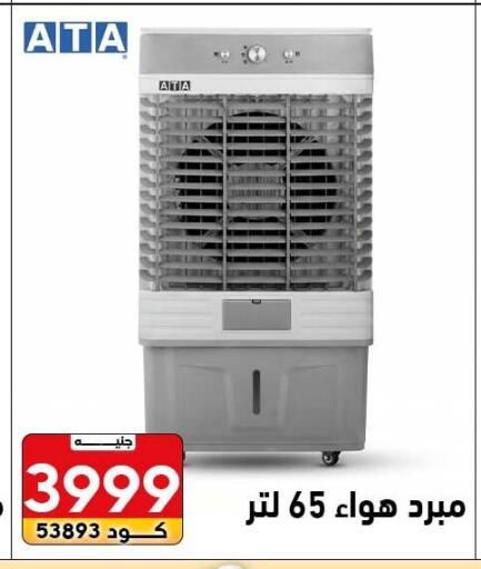 available at Center Elzelzal in Egypt - Cairo