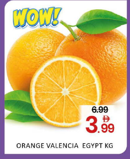 Orange Mango from Egypt available at Mango Hypermarket LLC in UAE - Dubai