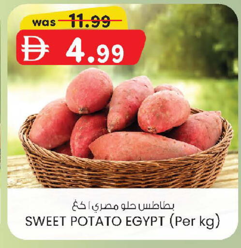Sweet Potato from Egypt available at ك. الم. للتجارة in الإمارات العربية المتحدة , الامارات - أبو ظبي
