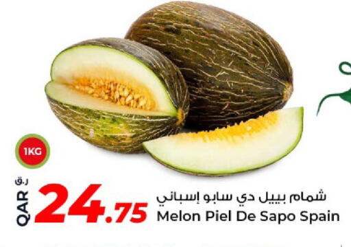 Melon from Spain available at روابي هايبرماركت in قطر - الريان