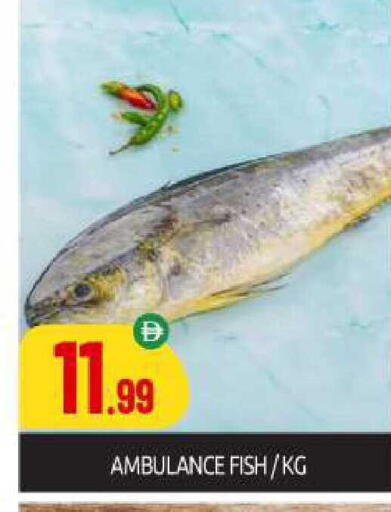 available at BIGmart in UAE - Abu Dhabi