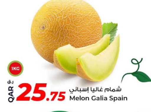 Melon from Spain available at روابي هايبرماركت in قطر - الريان