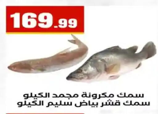 available at مارت فيل in Egypt - القاهرة