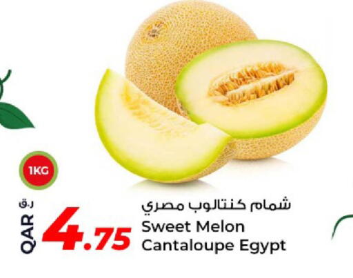 Melon Cantaloupe from Egypt available at روابي هايبرماركت in قطر - الريان