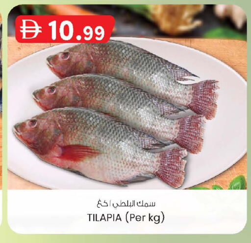 available at K M Trading  in UAE - Sharjah / Ajman