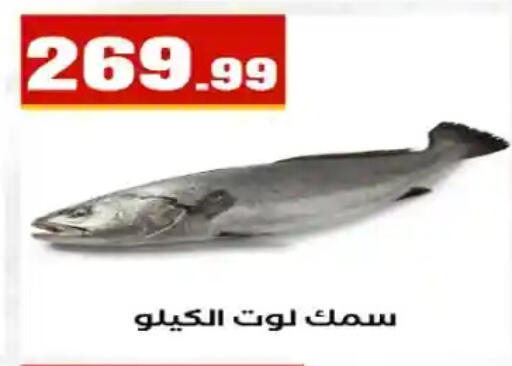 available at مارت فيل in Egypt - القاهرة