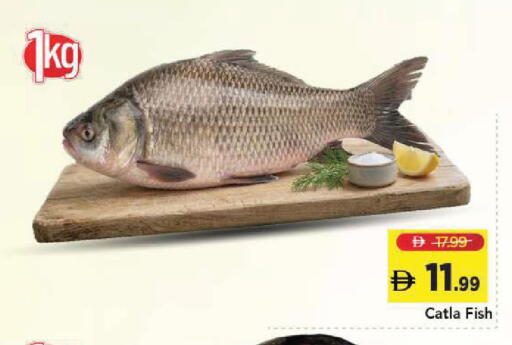 available at Mark & Save in UAE - Sharjah / Ajman