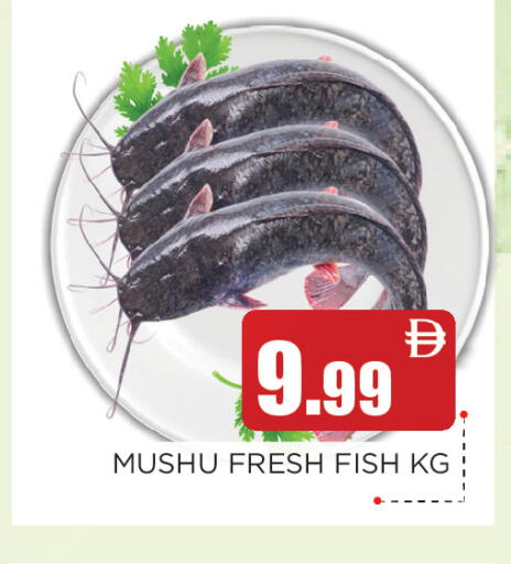 available at عين المدينة هايبرماركت in الإمارات العربية المتحدة , الامارات - الشارقة / عجمان