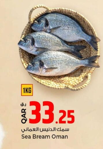 available at روابي هايبرماركت in قطر - الريان