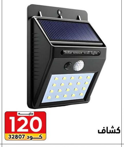 available at Center Elzelzal in Egypt - Cairo