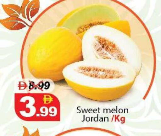 Melon from Jordan available at ديزرت فريش ماركت in الإمارات العربية المتحدة , الامارات - أبو ظبي