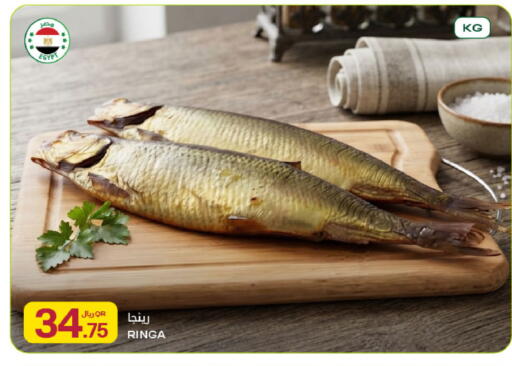 available at شركة الميرة للمواد الاستهلاكية in قطر - الشحانية
