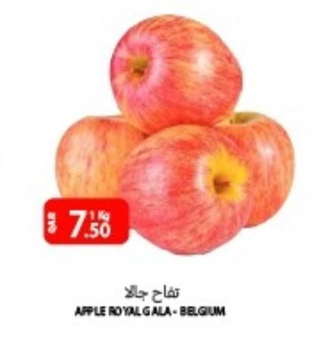 Apple from Belgium available at Al Baladi Al Yawm in Qatar - Al Shamal