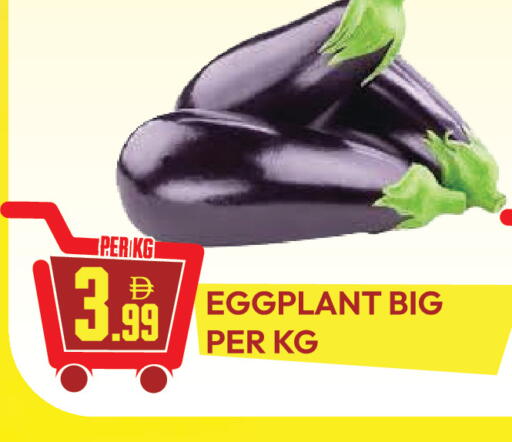 Eggplant available at دريم لاند in الإمارات العربية المتحدة , الامارات - دبي