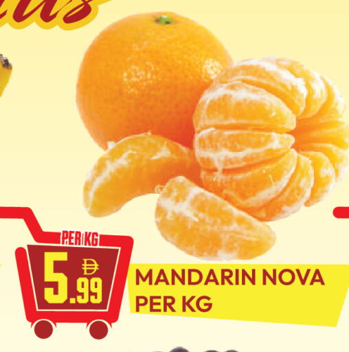 Mandarin available at دريم لاند in الإمارات العربية المتحدة , الامارات - دبي