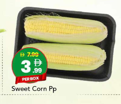 available at مارك & سيف in الإمارات العربية المتحدة , الامارات - أبو ظبي