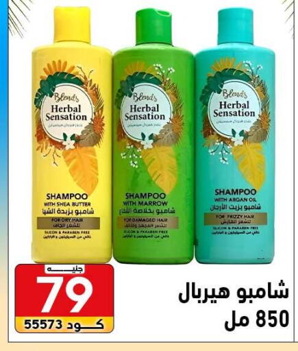Marrow available at Center Elzelzal in Egypt - Cairo