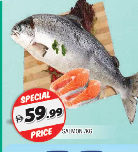 available at المدينة in الإمارات العربية المتحدة , الامارات - الشارقة / عجمان