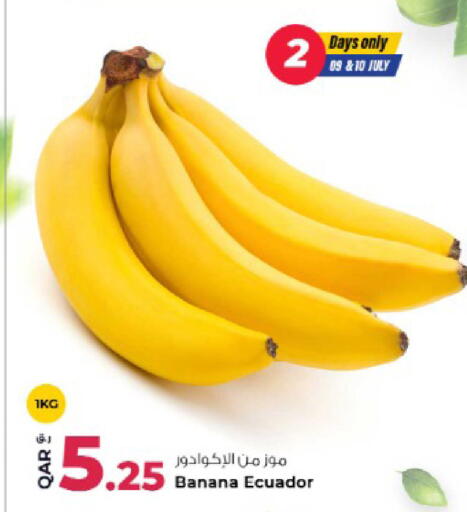 Banana from Ecuador available at روابي هايبرماركت in قطر - الريان