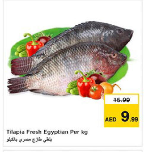 available at نستو هايبرماركت in الإمارات العربية المتحدة , الامارات - أم القيوين‎