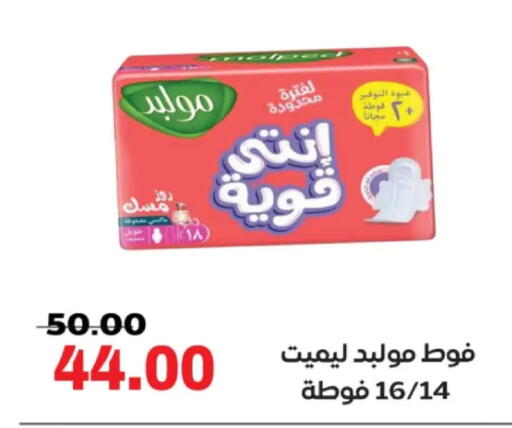 available at Galhom Market in Egypt - Cairo