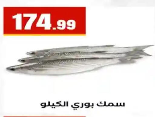 available at مارت فيل in Egypt - القاهرة