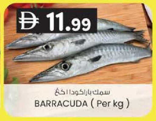available at K M Trading  in UAE - Dubai