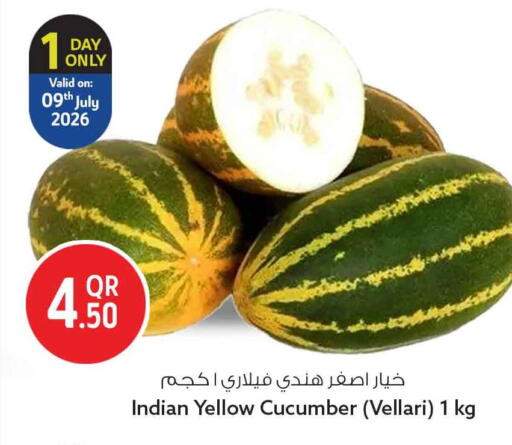 Cucumber from India available at سفاري هايبر ماركت in قطر - الضعاين