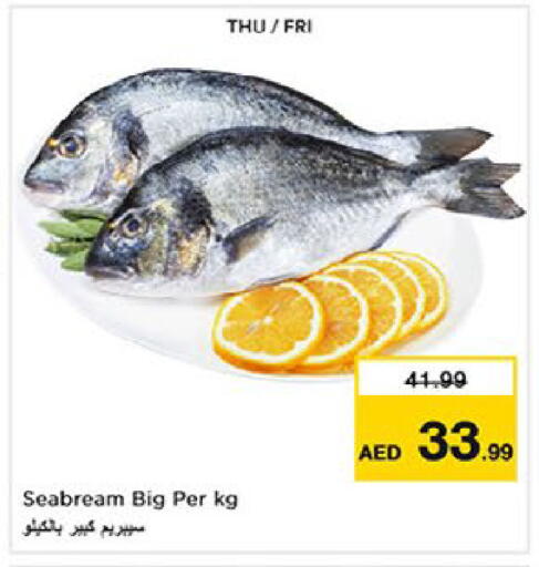 available at نستو هايبرماركت in الإمارات العربية المتحدة , الامارات - أم القيوين‎