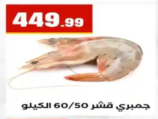 available at مارت فيل in Egypt - القاهرة