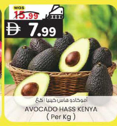 Avocado from Kenya available at ك. إم. هايبرماركت in الإمارات العربية المتحدة , الامارات - أبو ظبي